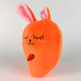 Peluche Conejo Zanahoria Roger